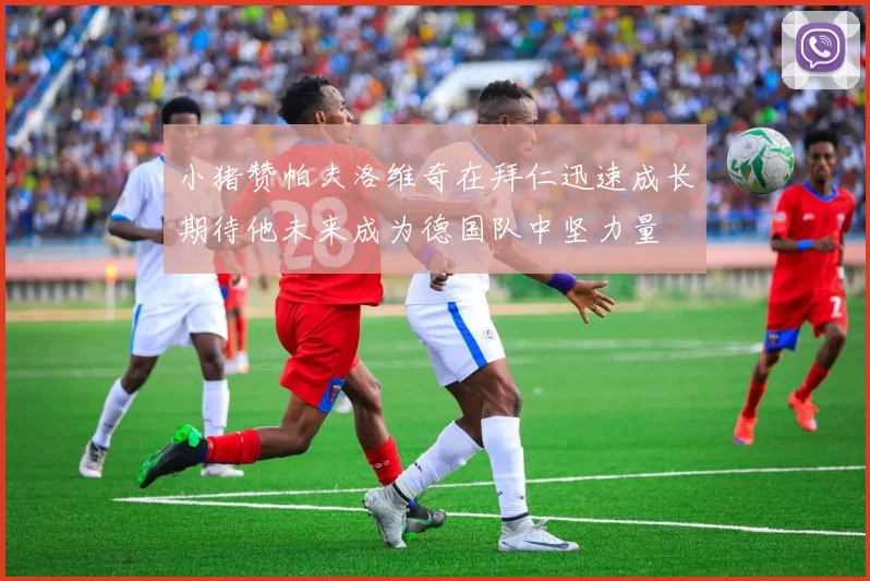 小猪赞帕夫洛维奇在拜仁迅速成长期待他未来成为德国队中坚力量